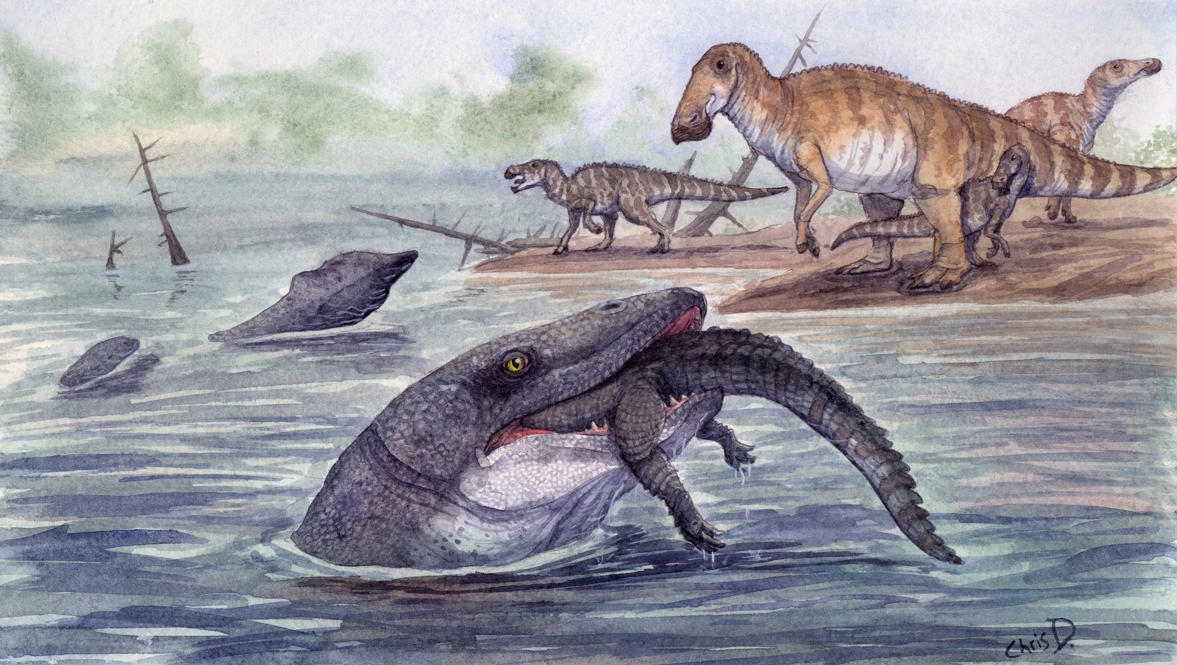 Dente fossilizado muda o que se sabia sobre predador marinho pré-histórico