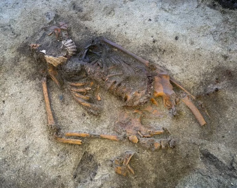 Túmulo viking descoberto na Noruega revela ritual funerário desconhecido