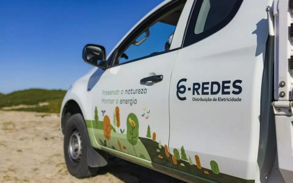 E-Redes vai ser julgada por abate ilegal de sobreiros em Oliveira de Azeméis