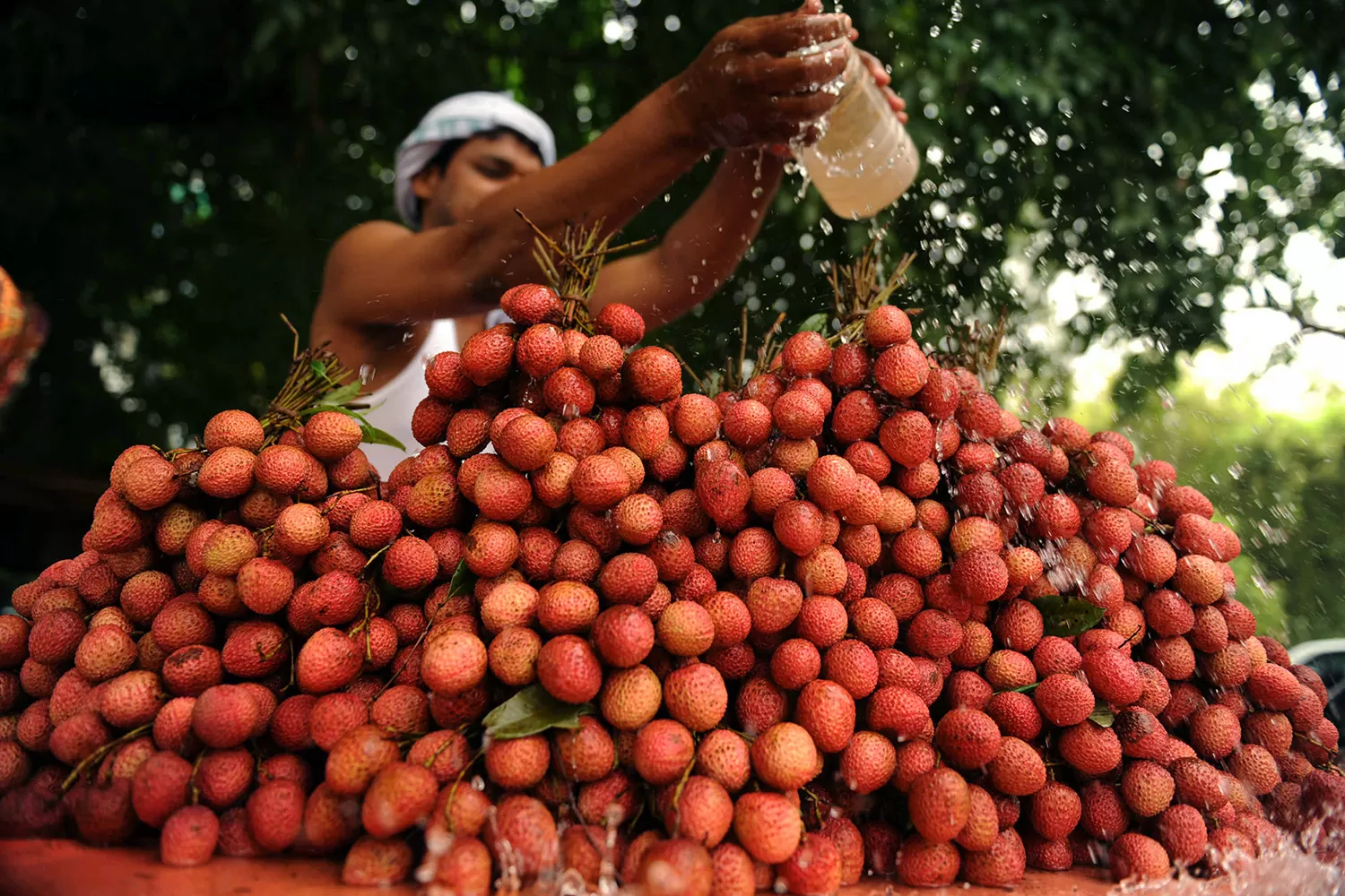 A hora e a vez da lichia: conheça nutrientes e benefícios da fruta que bomba no fim do ano