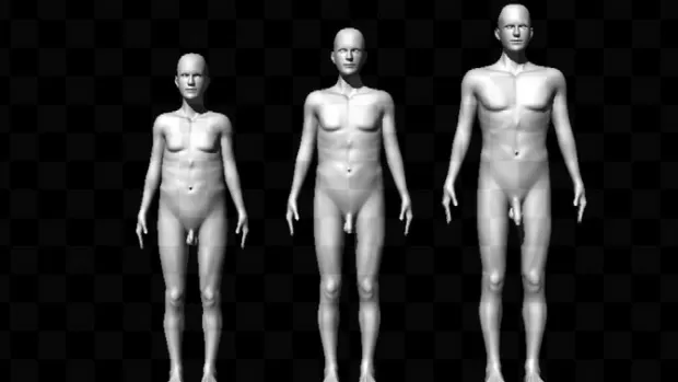 Tamanho do pênis humano tem duas funções evolutivas, diz estudo