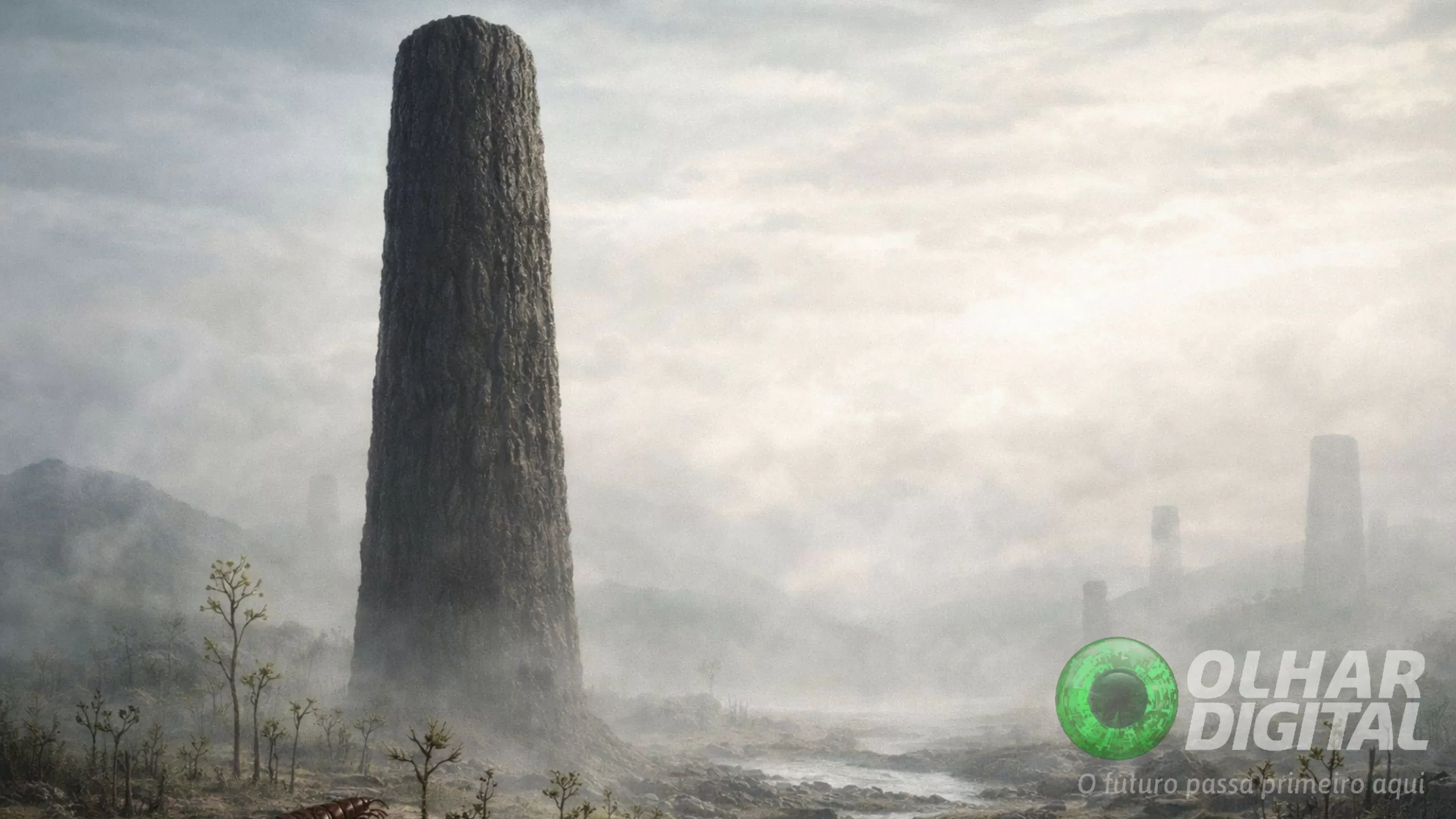 Fóssil misterioso revela forma de vida extinta que não era planta nem fungo