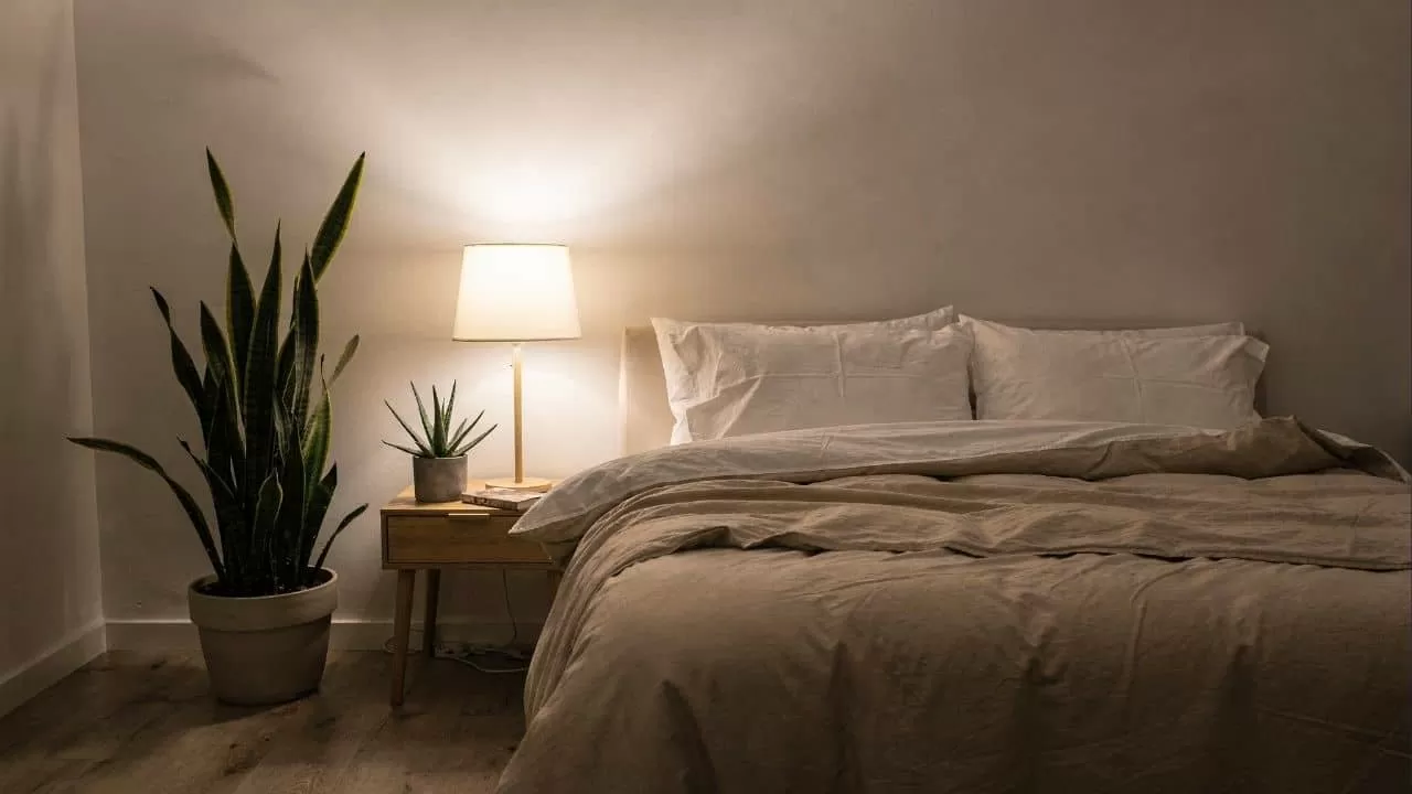 A ciência revela como as plantas certas podem resetar seu cérebro durante o sono