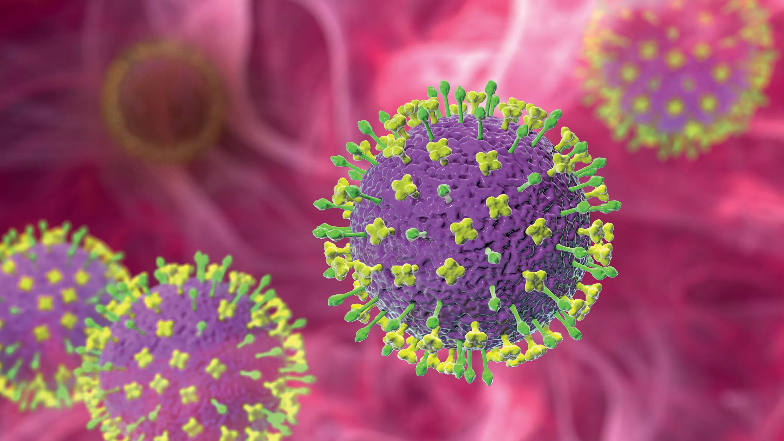 Vírus Nipah: alerta global reforça uma das maiores lições da pandemia de covid-19