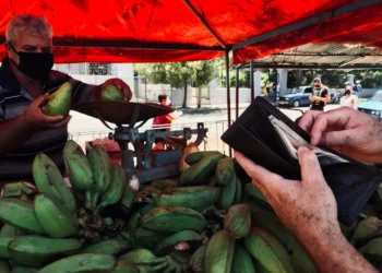 “Desvendando a Economia: Dicas para uma Vida Financeira Próspera”