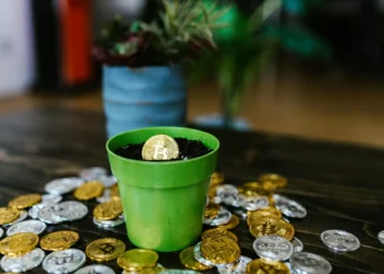 6 criptomoedas para plantar em agosto e colher mais à frente, segundo especialistas