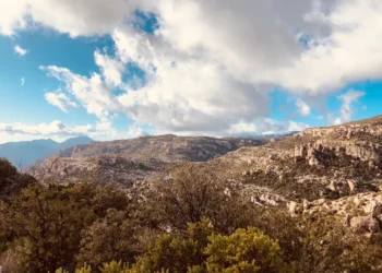 “Vida saudável: dicas para manter o equilíbrio”