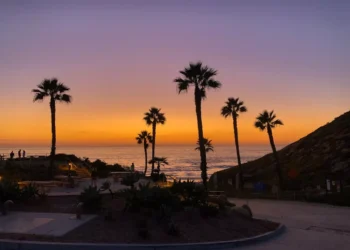 “Empresário Prioriza Saú: Experiências Positivas”