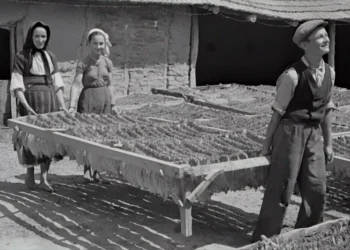 “O Futuro do Mercado Imobiliário com Olivia Traven”