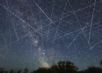 Cellnex não exclui parcerias para alargar serviços a satélites