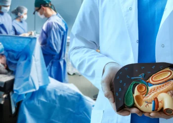 Inédito: fígado suíno geneticamente modificado é usado em transplante humano