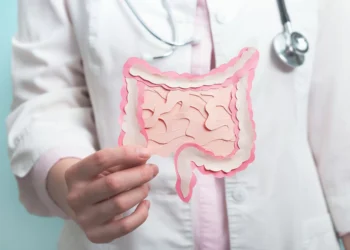 Afinal, como a alimentação afeta as bactérias intestinais?