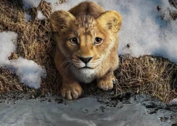 ‘Mufasa: O Rei Leão’ já tem data para chegar à Disney+