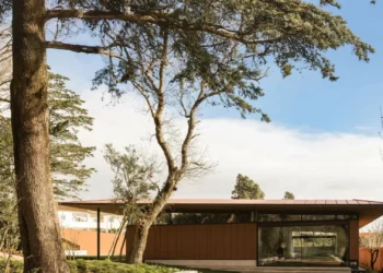 Albuquerque Foundation. O novo museu de Sintra foca-se na cerâmica