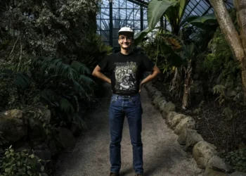 Curtas-metragens de Inês Nunes, Gabriel Abrantes e Laura Anahory escolhidas para Cannes