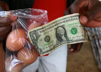 Zimbabué anuncia retirada das tarifas a produtos dos EUA para construir relação positiva