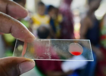 Startup brasileira de biotecnologia vence concurso de inovação em Macau