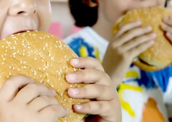 Problemas na cantina? O que precisa mudar na alimentação escolar
