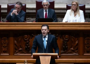 Luto gestacional? Livre, BE e PAN acusam Governo de ataque às famílias