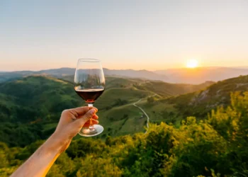 Médicos como vinhos: o tempo e o terroir moldam a excelência