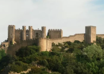 Vereadores do PSD demitem-se dos cargos executivos contra presidente social-democrata em Óbidos