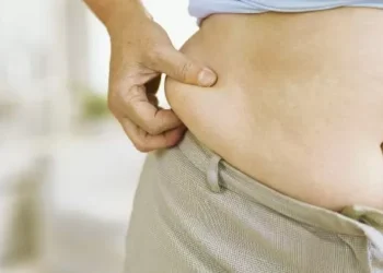 Gordura, rins e coração: uma conexão tenebrosa para a saúde