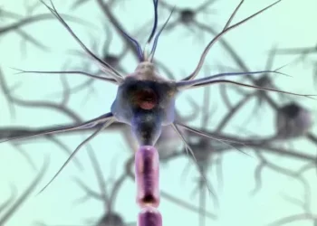 Ferramenta criada por brasileiros prevê eficácia de tratamento para esclerose múltipla