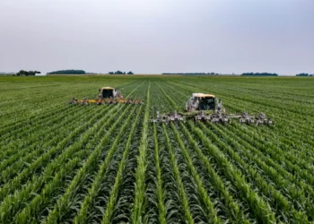 XPCA11 fecha 2T25 com dividend yield acima de 1,6% e aposta em diversificação no agro