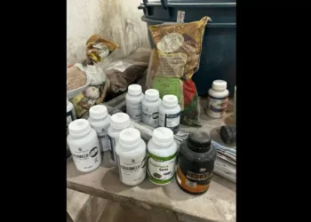 Anvisa interdita fábrica clandestina de suplementos alimentares