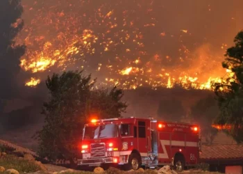 Incêndios: Mais de 90 fogos em Portugal combatidos por cerca de 1.980 operacionais