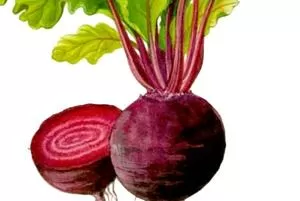 Folhas da beterraba podem atuar na prevenção do câncer intestinal, aponta pesquisa brasileira