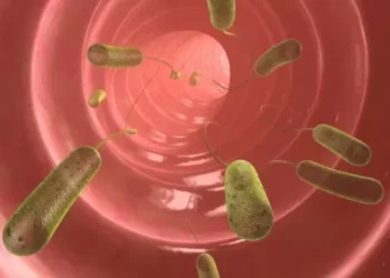 Pesquisador americano desenvolve nariz eletrônico para combater doenças alimentares