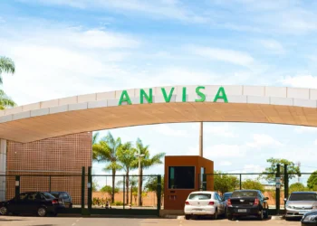 Anvisa retira do mercado marcas de azeite, sal e chá por irregularidades