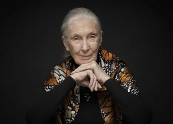Morre Jane Goodall, a bióloga que redefiniu a humanidade por meio dos chimpanzés