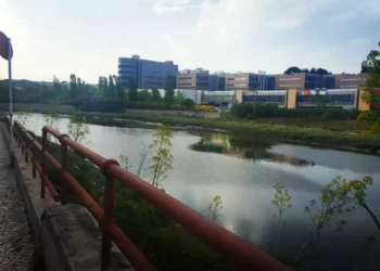 Autárquicas: PS passa a ter maioria absoluta na Câmara de Loures