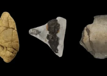 ‘Chiclete’ de 6 mil anos traz pistas sobre papéis de gênero no passado