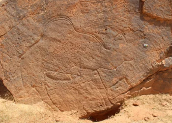 Arte rupestre de tamanho real retrata vida na pré-história no deserto; confira imagens