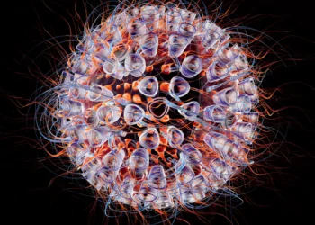 Mais próximo da cura: os novos resultados promissores na batalha contra o HIV