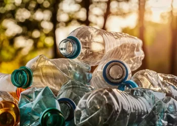 Qual a diferença entre reduzir, reciclar, reutilizar e reaproveitar?