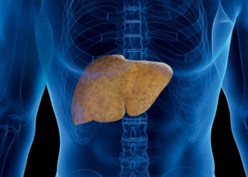 Nem o álcool nem os vírus por trás da hepatite: saiba qual é o maior inimigo do fígado