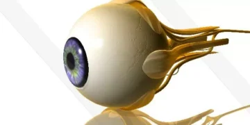 Implante que recupera a visão de pessoas praticamente cegas pode chegar ao mercado neste ano