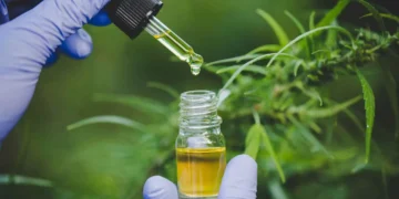 Anvisa apresenta proposta para regulamentar cannabis medicinal