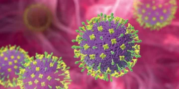 Vírus Nipah: alerta global reforça uma das maiores lições da pandemia de covid-19