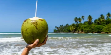 Navegador dos sete mares