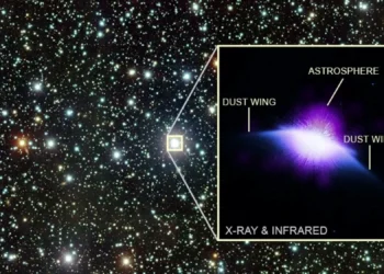 Primeiro registro em raio-X da “mariposa” cósmica revela passado do Sol