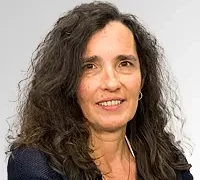 Nova era do ouro, o ativo do medo