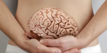 Dieta é coroada em estudo como a melhor opção para afastar o declínio da memória