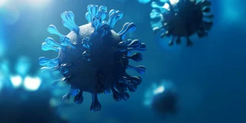 A lista de ‘procurados’ da OMS: quem são os vírus que mais preocupam as autoridades globais