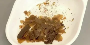 Fezes eram usadas como remédio na Roma Antiga, revela frasco milenar