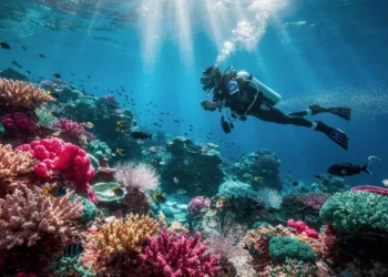 O perfume artificial que os cientistas criaram para salvar os corais de uma praga faminta